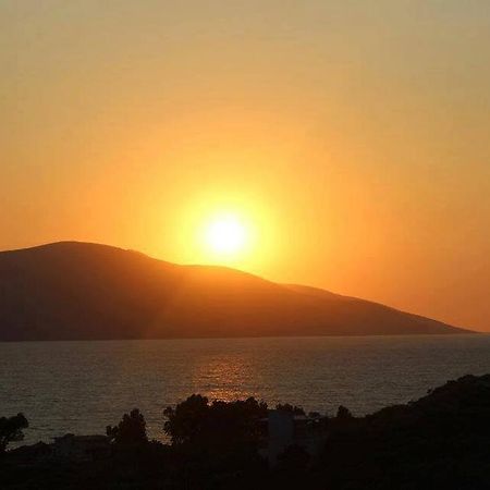 Residence Jazoj Vlorë エクステリア 写真