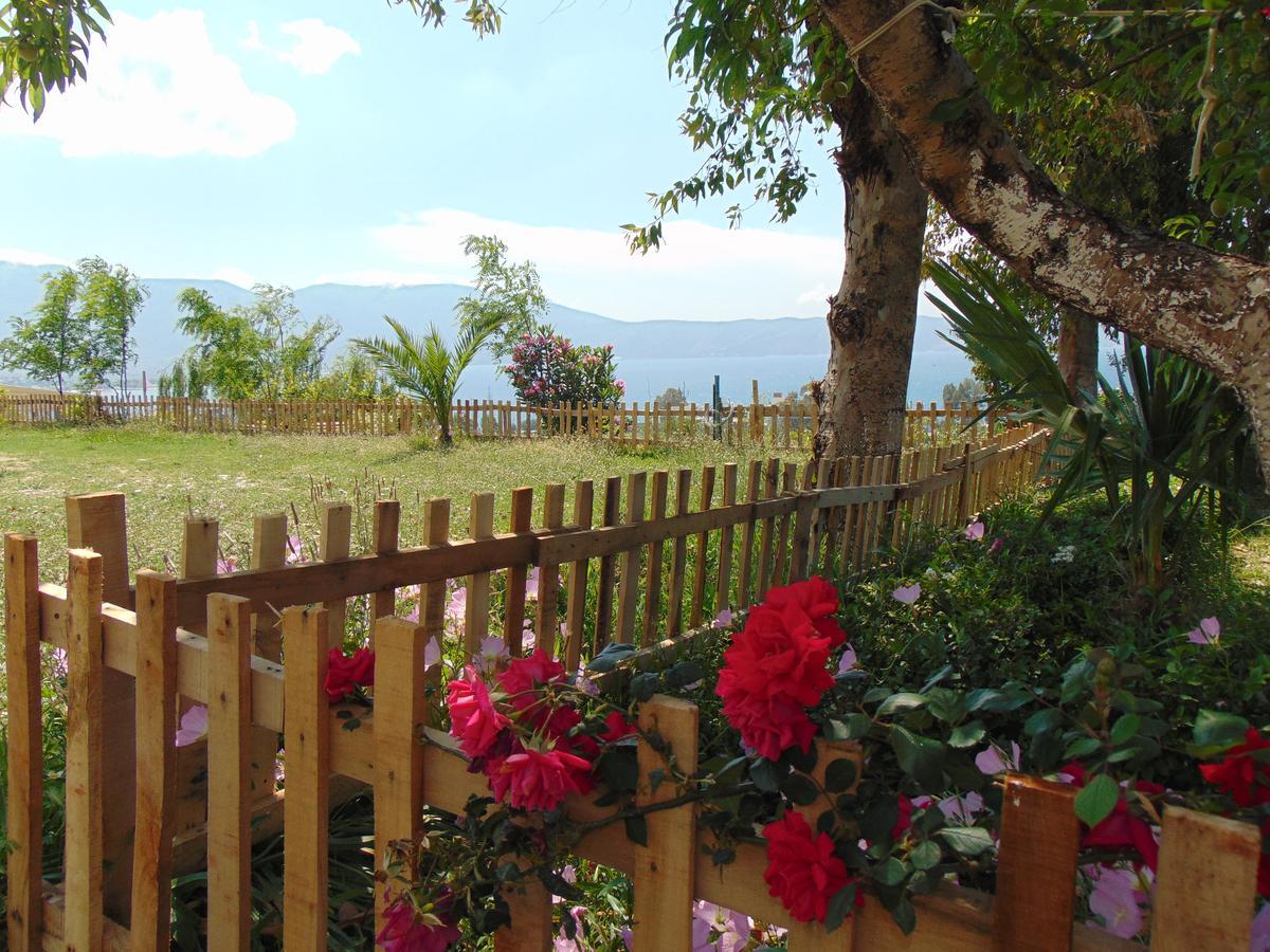 Residence Jazoj Vlorë エクステリア 写真