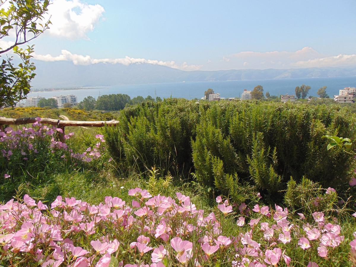 Residence Jazoj Vlorë エクステリア 写真