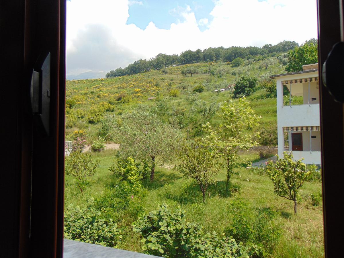 Residence Jazoj Vlorë エクステリア 写真